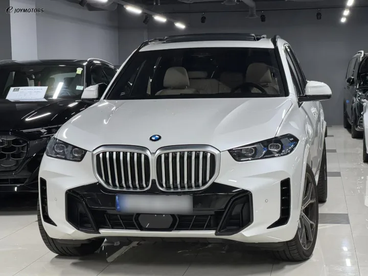BMW X시리즈 xDrive 30d