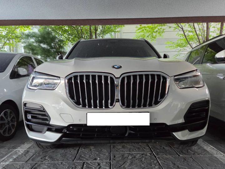 BMW X5 4세대 xDrive 30d x라인