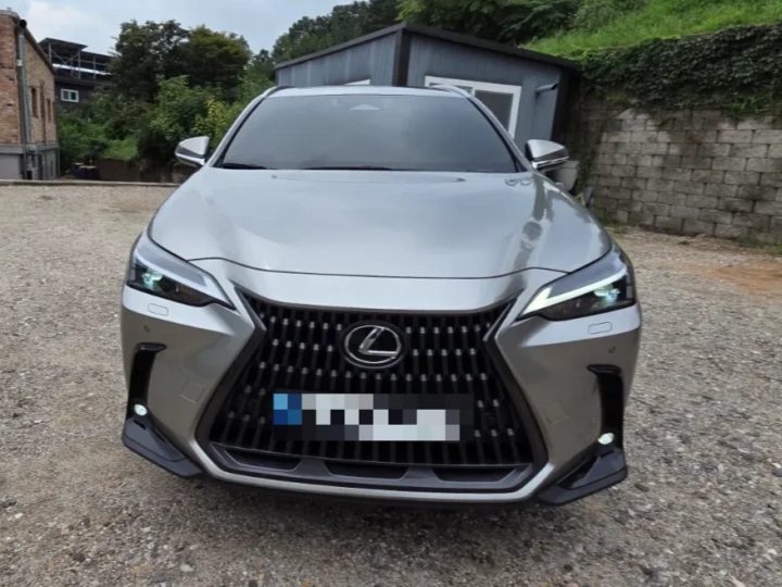 렉서스 NX 350h 프리미엄